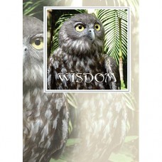 MAGNE GREETING CARD Wisdom Owl